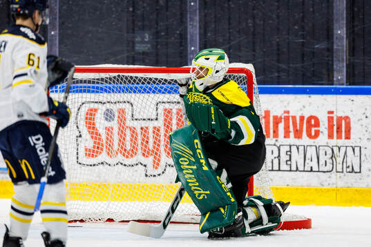 Östersunds målvakt Andreas Ljunggren deppar
