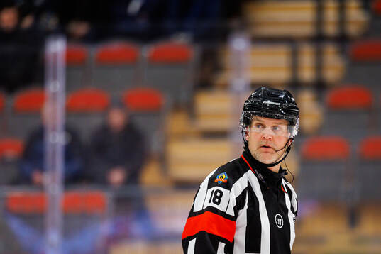 Domare Mikael Nord