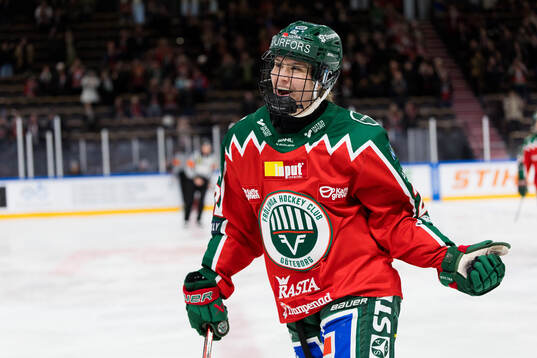 Bläddra bland fler bilder av Ishockey, SDHL, Kvartsfinal 1, Frölunda - Linköping