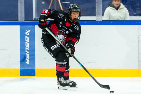 Malmö Redhawks Saga Nederman