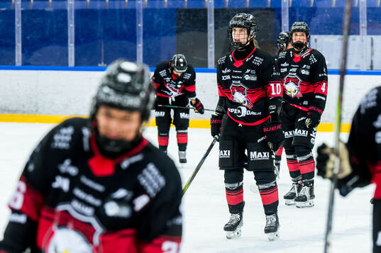 Malmö Redhawks Silja Franksdottir Engel Rasmussen deppar