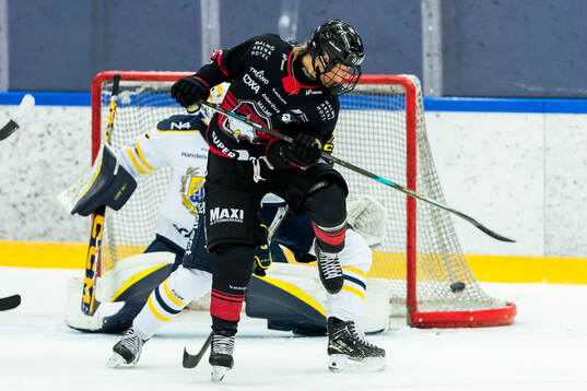 Malmö Redhawks Saga Nederman