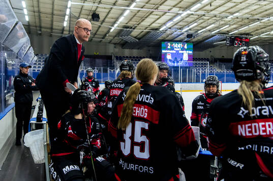 Malmö Redhawks tränare Henrik Palm