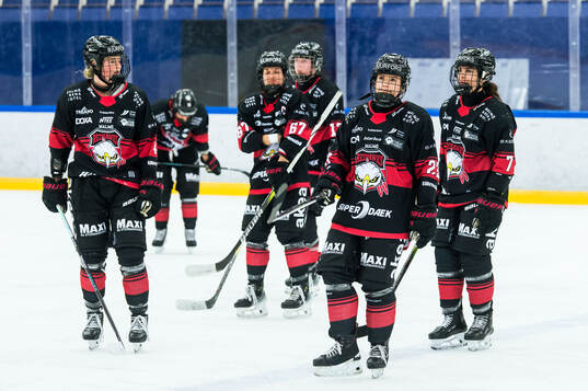 Malmö Redhawks deppar