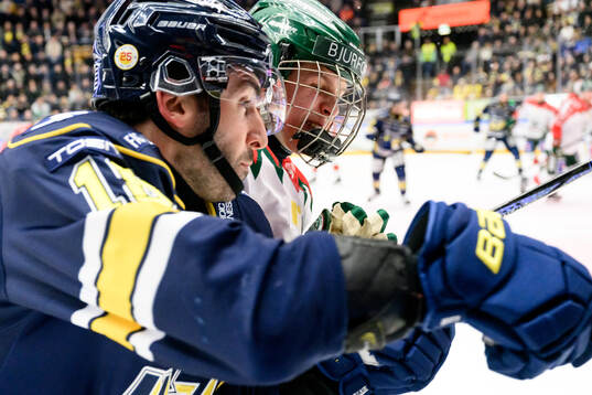 HV71s Joseph Laleggia och Frölundas Ivar Stenberg