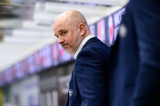 HV71s assisterande tränare Stefan Nyman