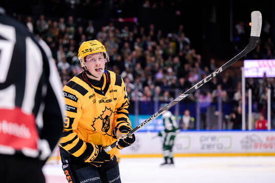 Skellefteås Ludvig Warg