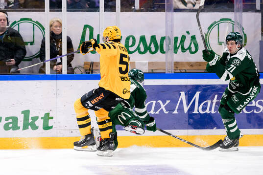 Skellefteås Luke Witkowski och Färjestads Michael