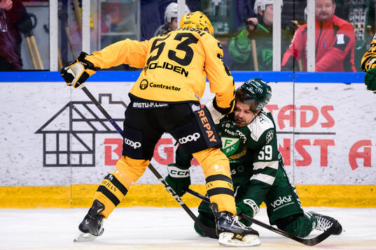 Skellefteås Luke Witkowski och Färjestads Linus Johansson
