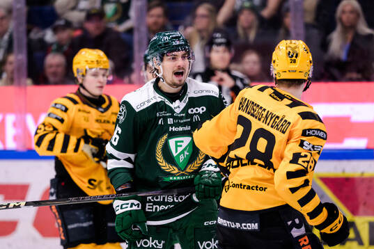 Färjestads David Tomasek och Skellefteås Michael