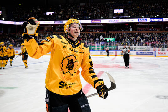 Skellefteås Ludvig Warg jublar