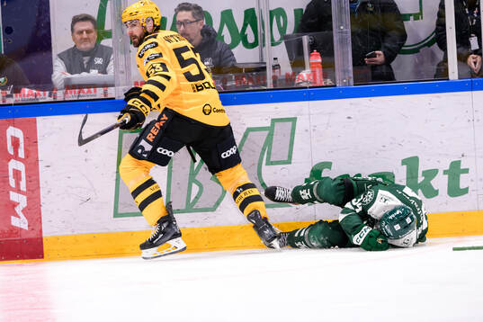 Skellefteås Luke Witkowski och Färjestads Michael