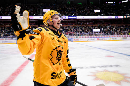 Skellefteås Ludvig Warg jublar