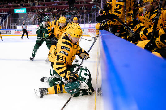 Skellefteås Ludvig Warg och Färjestads Oskar Steen