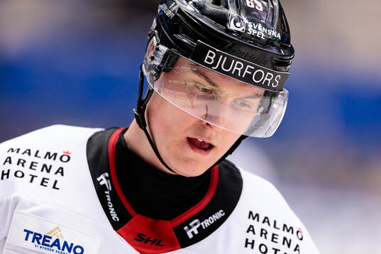 Malmö Redhawks Fredrik Händemark deppar