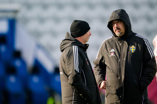 Head coach Peter Gerhardsson in conversation with Doctor