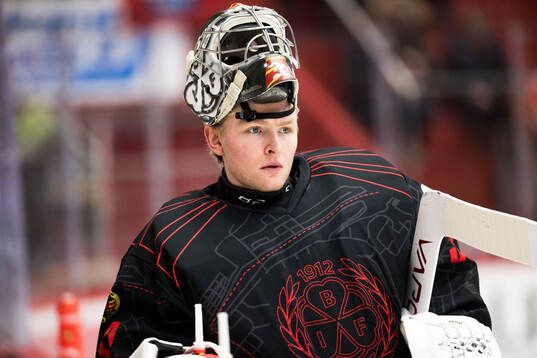 Brynäs målvakt Ludvig Persson