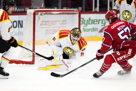 Brynäs målvakt Erik Källgren