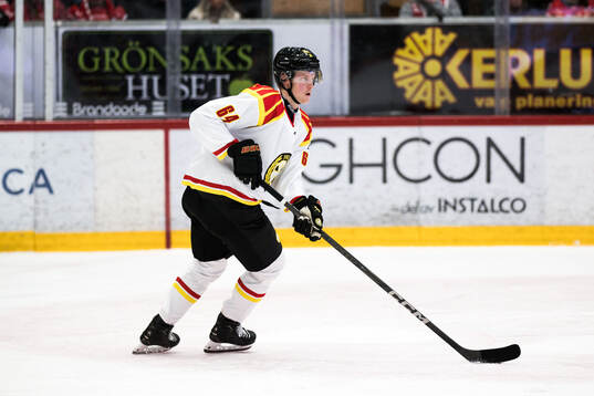 Brynäs Jacob Bengtsson