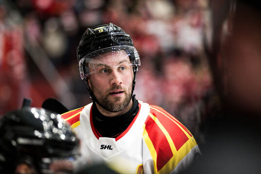 Brynäs Johan Larsson