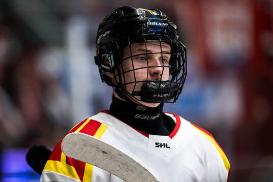 Brynäs Theo Östberg