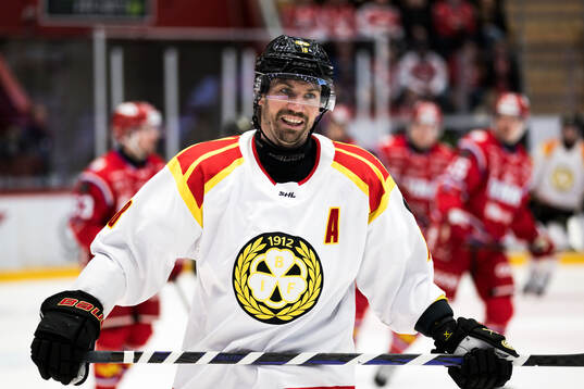 Brynäs Anton Rödin