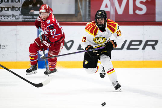 Brynäs Leo Sundqvist