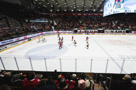 Spel i Brynäs zon