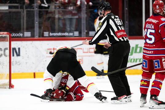 Brynäs Charles-Édouard D'astous och Timrås Emil