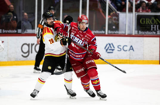 Brynäs Tyler Vesel och Timrås Filip Hållander