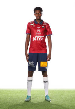 Örgrytes Ibrahim Ahmed