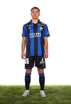 Sirius Leo Walta