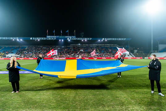A Swedish flag