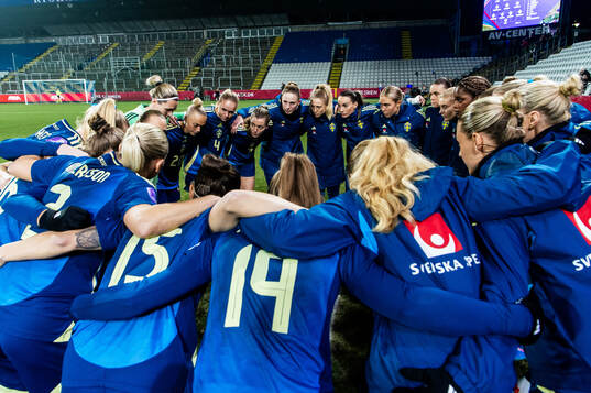 Players of Sweden