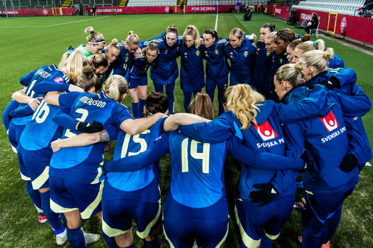 Players of Sweden
