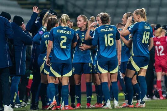 Players of Sweden