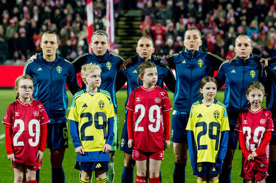 Players of Sweden