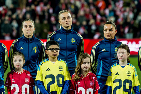 Players of Sweden