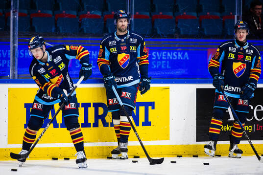 Djurgårdens Dick Axelsson