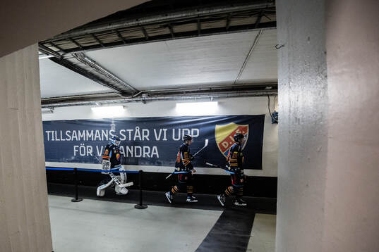 Djurgårdens spelare