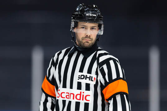 Domare Fredrik Börjesson-Tysnes