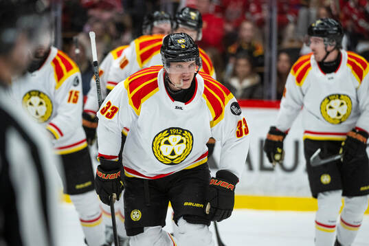 Bläddra bland fler bilder av Ishockey, SHL, Modo - Brynäs