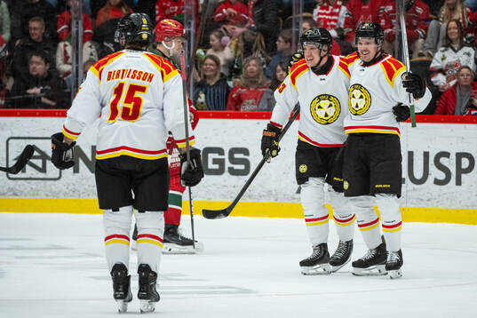 Brynäs Jakob Silfverberg jublar
