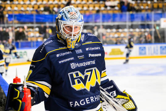 HV71s målvakt Hugo Alnefelt