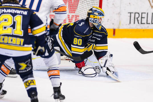 HV71s målvakt Frederik Dichow
