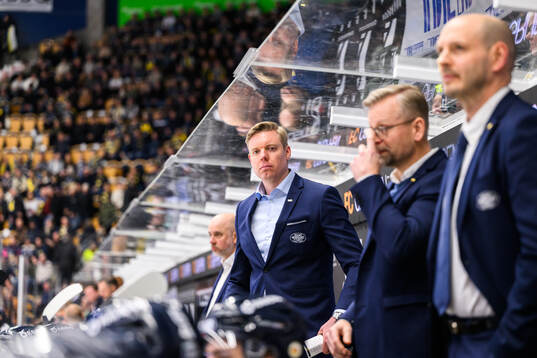 HV71s tränare Anton Blomqvist