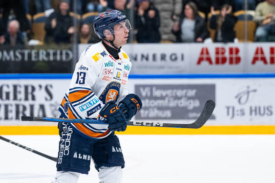 Växjös Dylan McLaughlin deppar