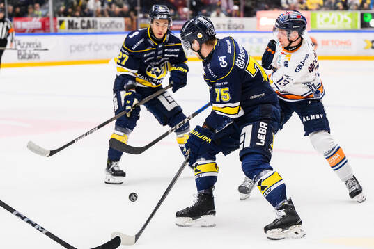 HV71s Radan Lenc  och Växjös Dylan McLaughlin