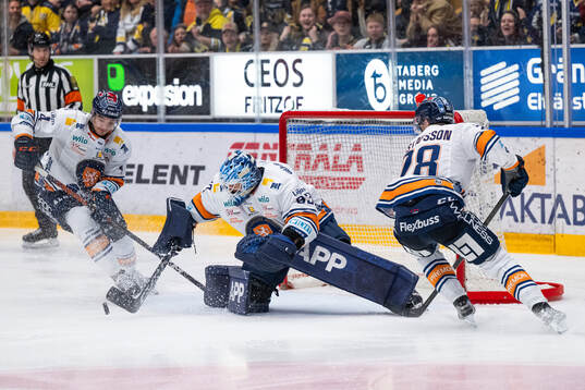 Växjös målvakt Emil Larmi