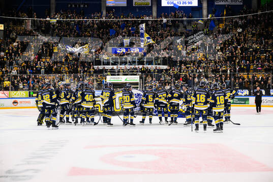 HV71s spelare jublar